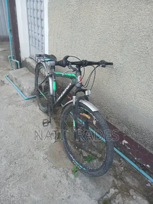 Phoenix Bicycle
