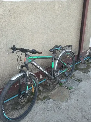 Phoenix Bicycle