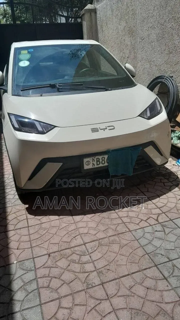 BYD Seagull 2024 White
