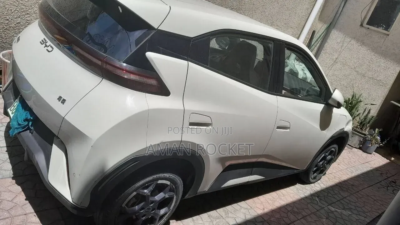 BYD Seagull 2024 White