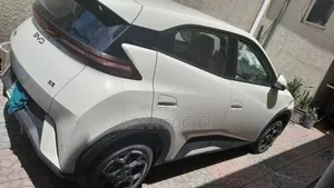 BYD Seagull 2024 White