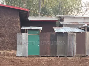 1bdrm House in አንተሁነኝ ጤናው, Bahir Dar for sale