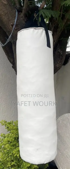 Punching Bag