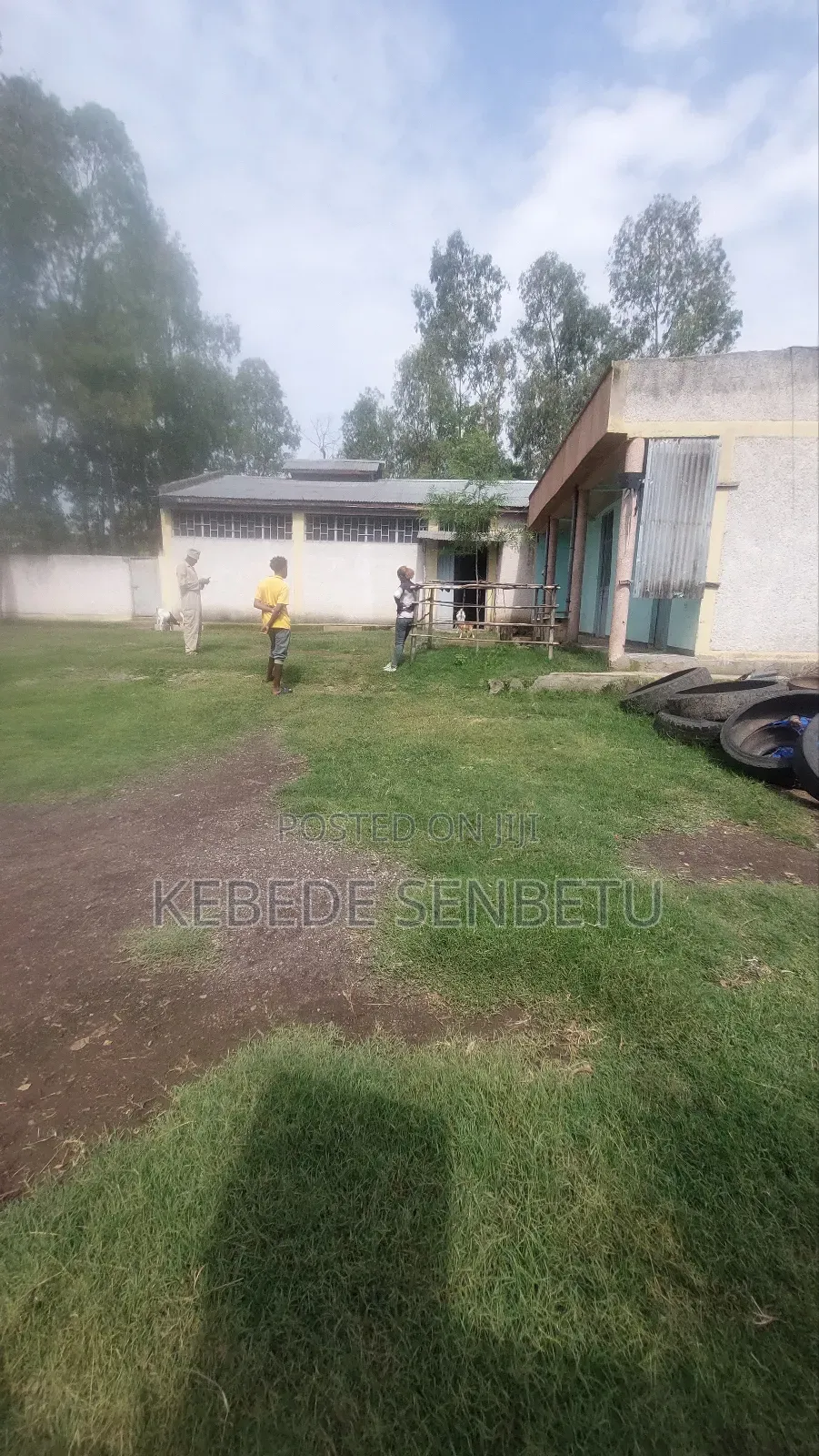 Grain Mill for Rent