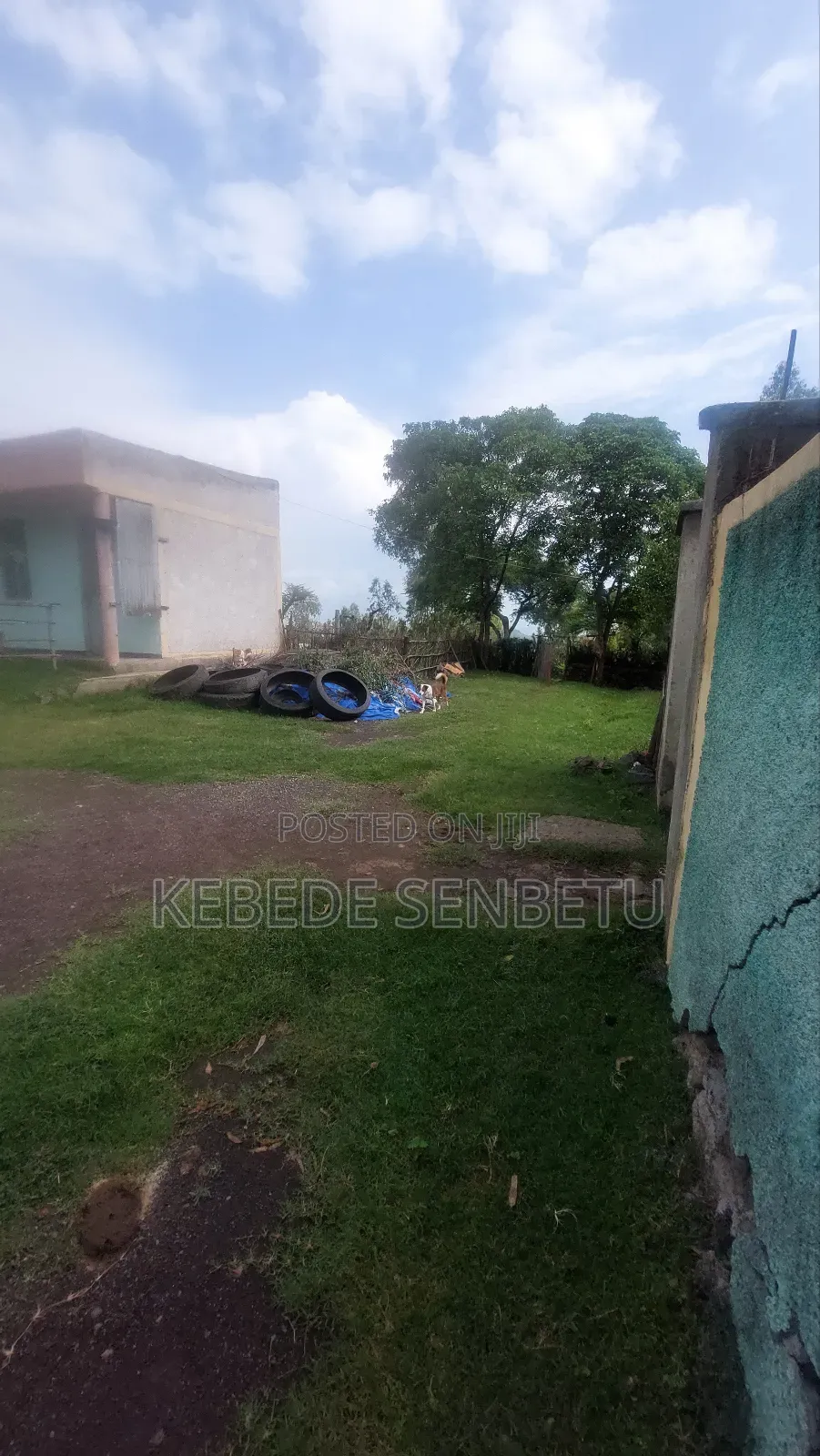 Grain Mill for Rent