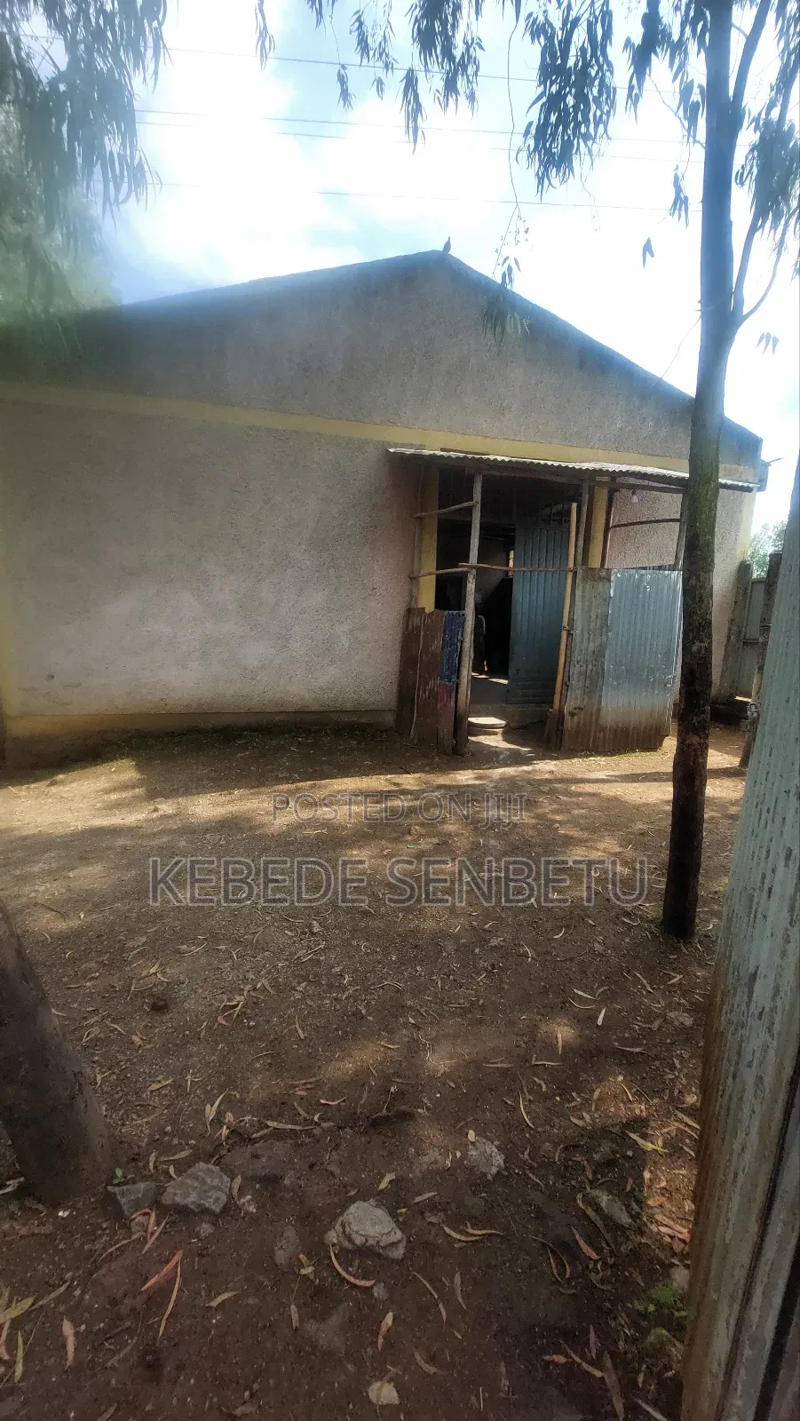 Grain Mill for Rent