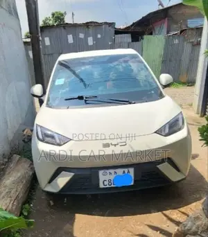 BYD Seagull 2025 White