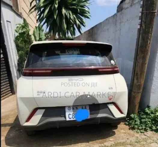 BYD Seagull 2025 White