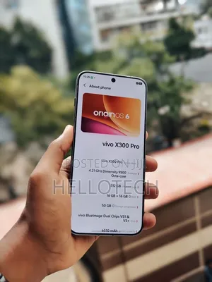 New Vivo X300 Pro 512 GB Gray