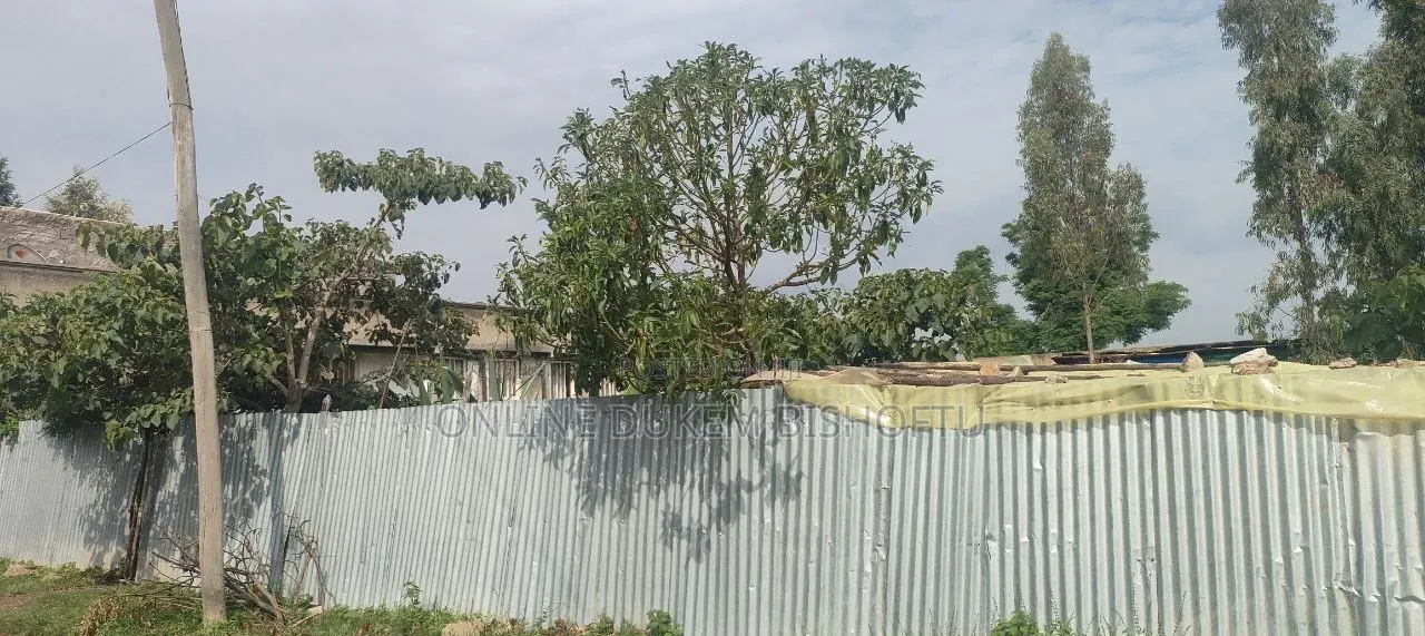Furnished 8bdrm House in Bishoftu Dukem, Oromia-Finfinne for sale