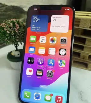 Apple iPhone 12 Pro Max 128 GB Silver