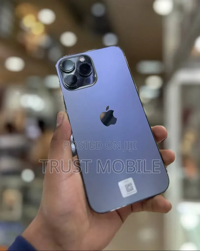 Apple iPhone 13 Pro Max 256 GB Gray