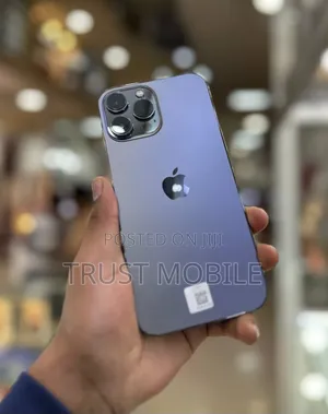 Apple iPhone 13 Pro Max 256 GB Gray