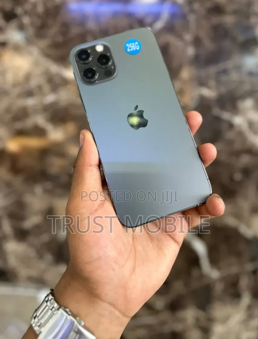 Apple iPhone 12 Pro Max 256 GB Gray