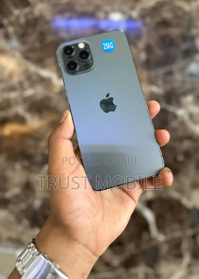 Apple iPhone 12 Pro Max 256 GB Gray