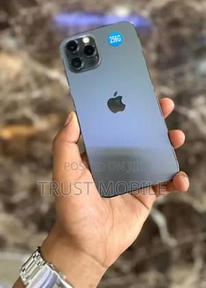 Apple iPhone 12 Pro Max 256 GB Gray