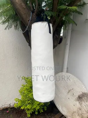 Punching Bag
