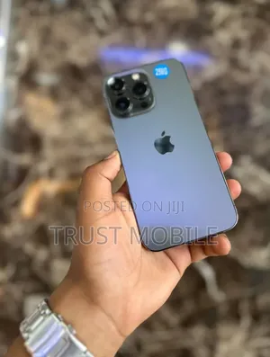 Apple iPhone 13 Pro 256 GB Gray