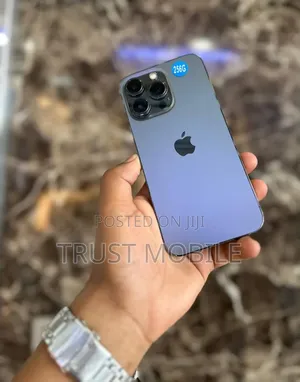 Apple iPhone 13 Pro 256 GB Gray