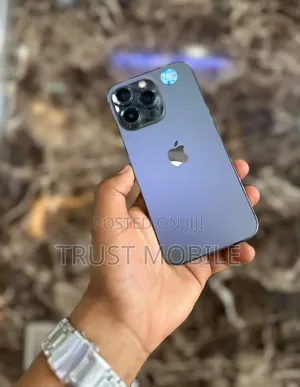 Apple iPhone 13 Pro 256 GB Gray