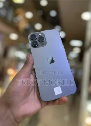 Apple iPhone 13 Pro Max 256 GB Gray