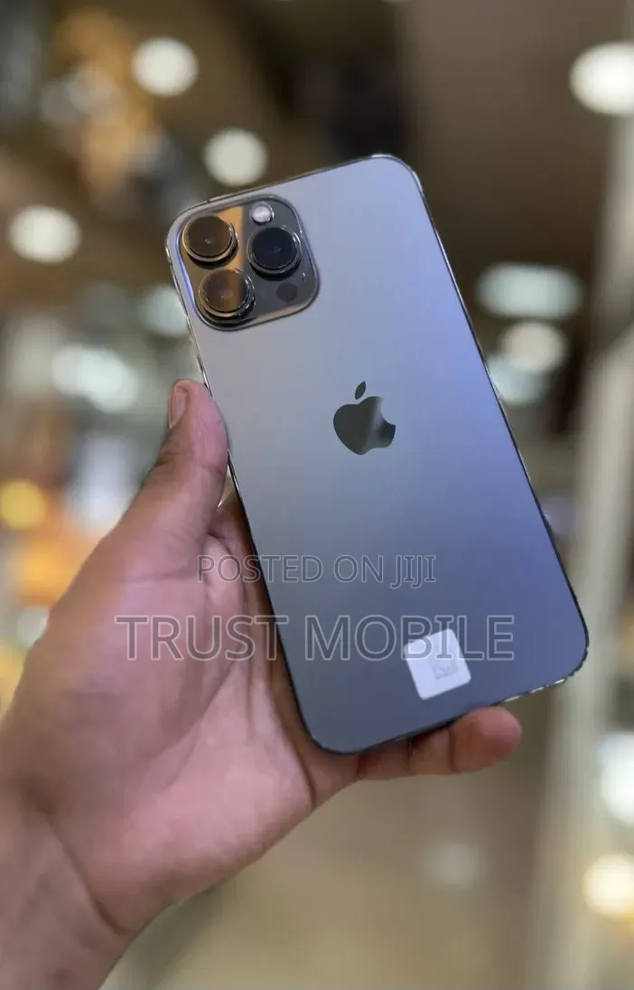 Apple iPhone 13 Pro Max 256 GB Gray