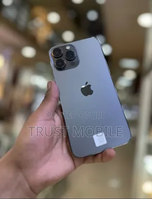 Apple iPhone 13 Pro Max 256 GB Gray