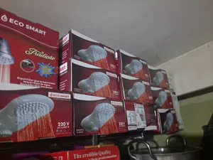 Smart Shower Heater