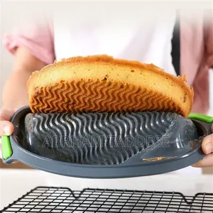 9-Inch Silicone Mold Cake Pan 🍕🍞