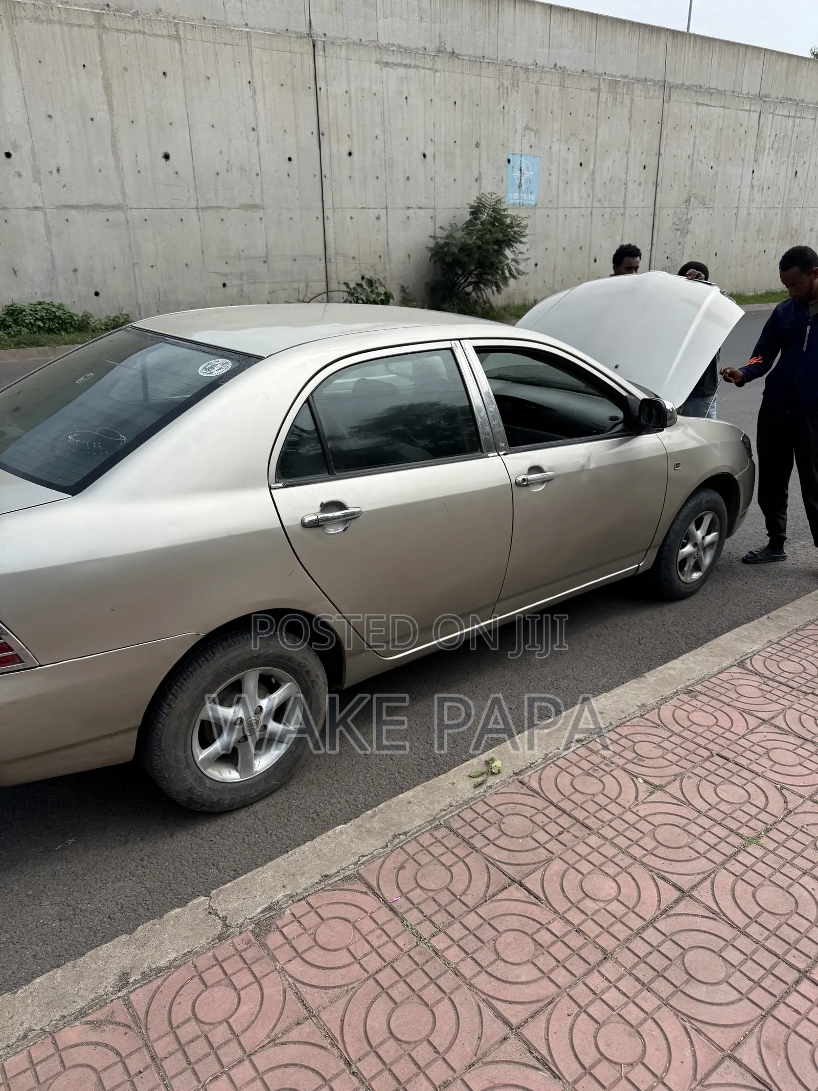 Toyota Corolla 2005 Gray