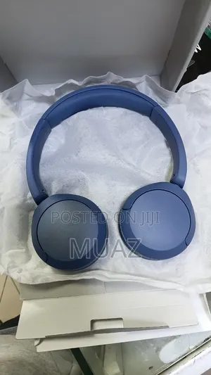 Sony WH-CH520 Wireless on-Ear Headphones 🎧