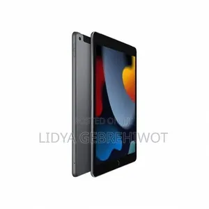 Apple iPad 10.2 (2021) 256 GB Silver