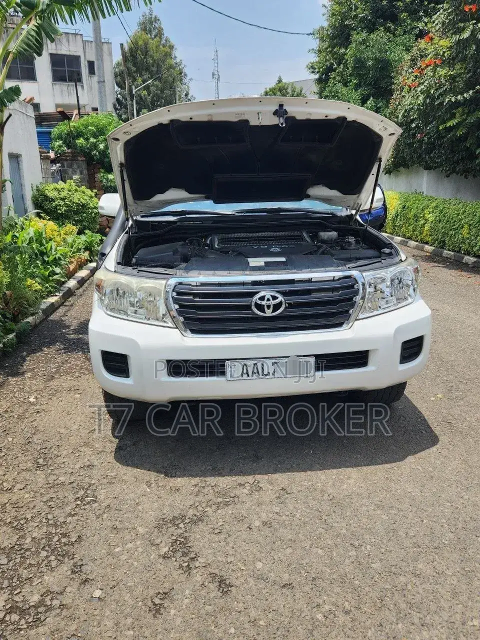 Toyota Land Cruiser 2014 White