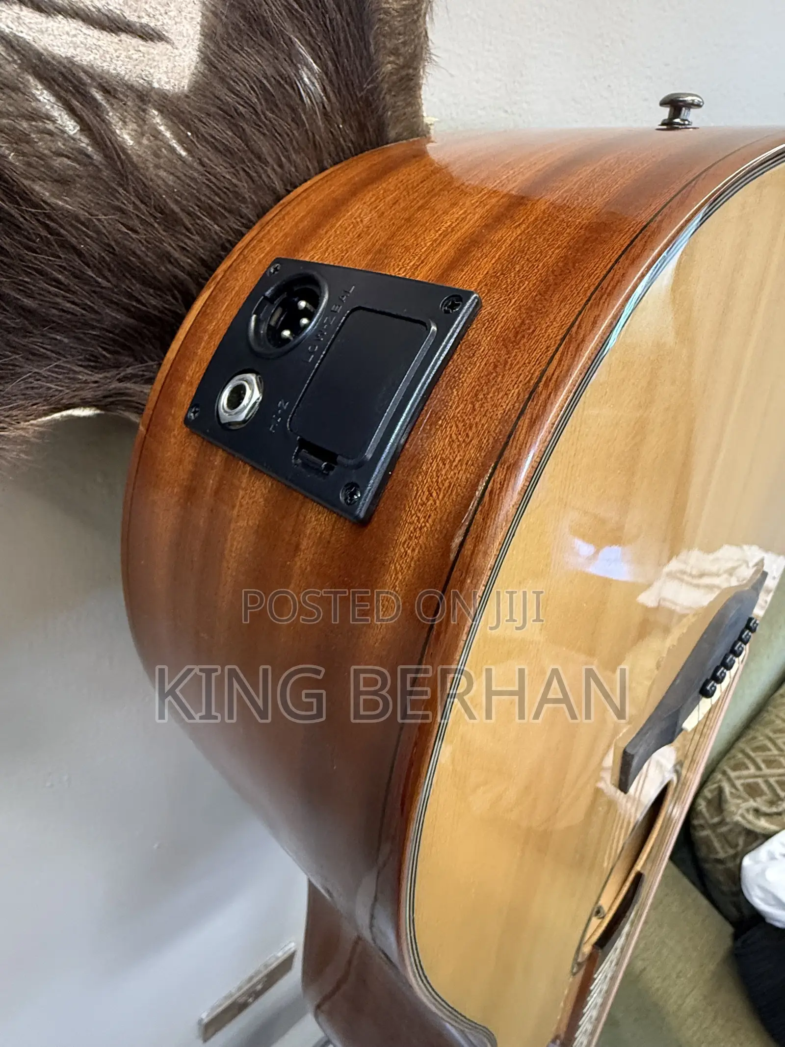 Acoustic Guitar