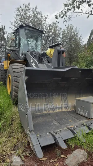 XCMG Loader