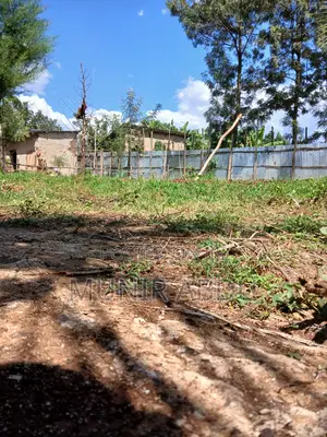 Land and Plots for Sale