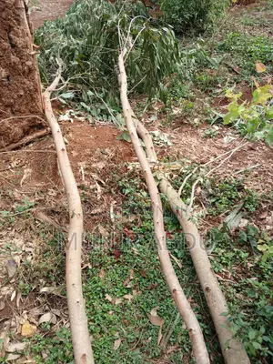 Land and Plots for Sale