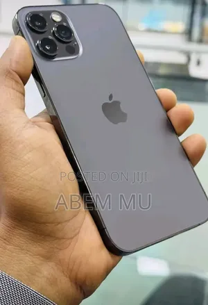 Apple iPhone 12 128 GB Gray