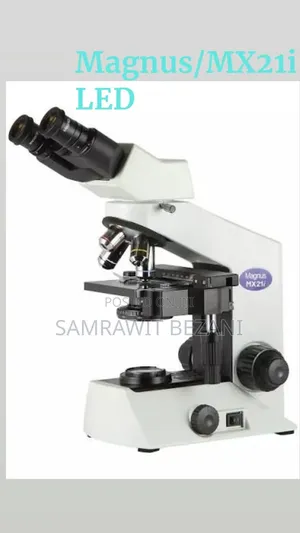 Binocular Microscope /Magnus MX21i LED