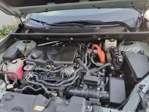Toyota RAV4 2022 Green