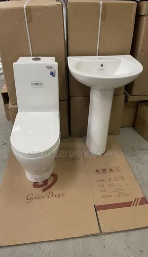 Golden Dragon Toilet 🚽 Seat With Ceramic Sinks