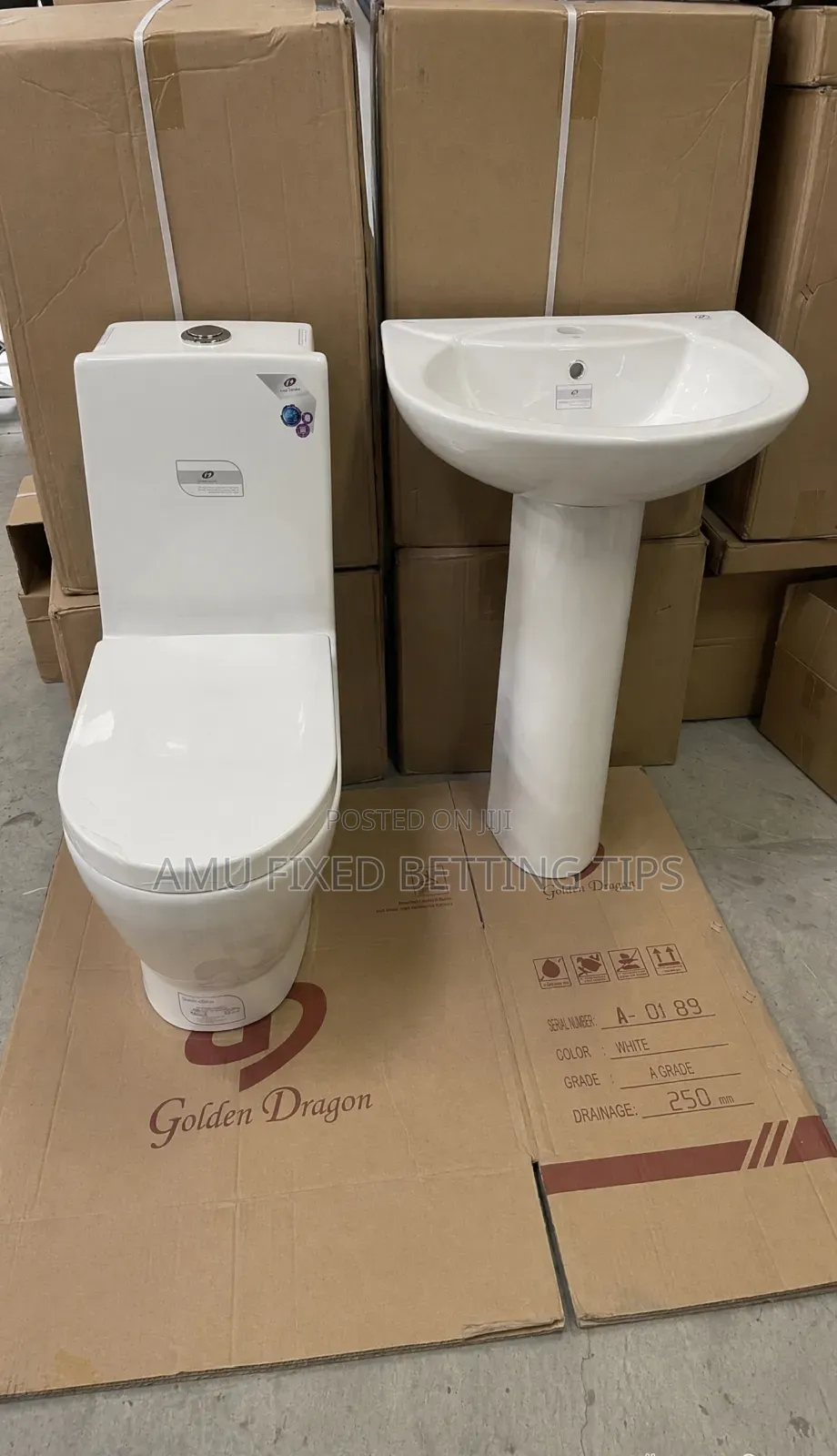 Golden Dragon Toilet 🚽 Seat With Ceramic Sinks