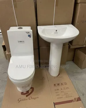 Golden Dragon Toilet 🚽 Seat With Ceramic Sinks