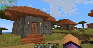 Minecraft Java (Latest Version)