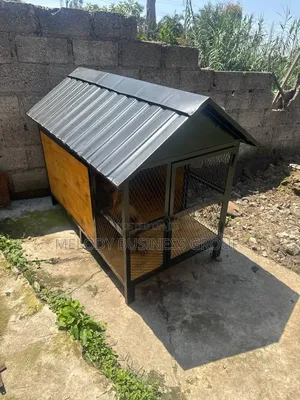 Dog Cage, Yewsha Bet, Kennel, Pet, Dog