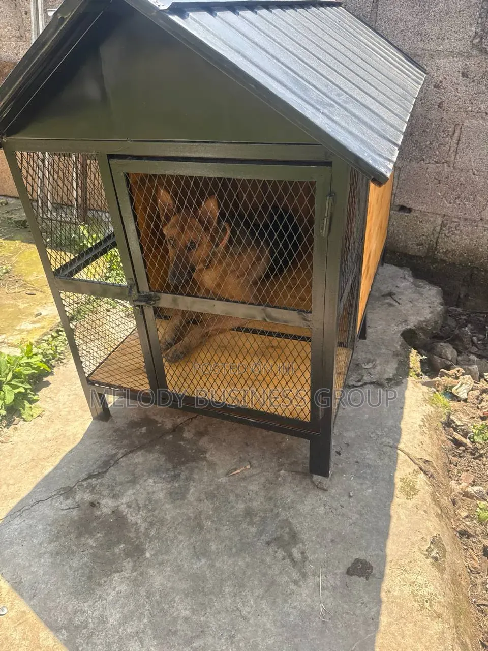 Dog Cage, Yewsha Bet, Kennel, Pet, Dog