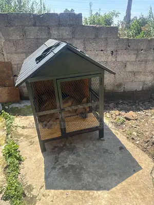 Dog Cage, Yewsha Bet, Kennel, Pet, Dog