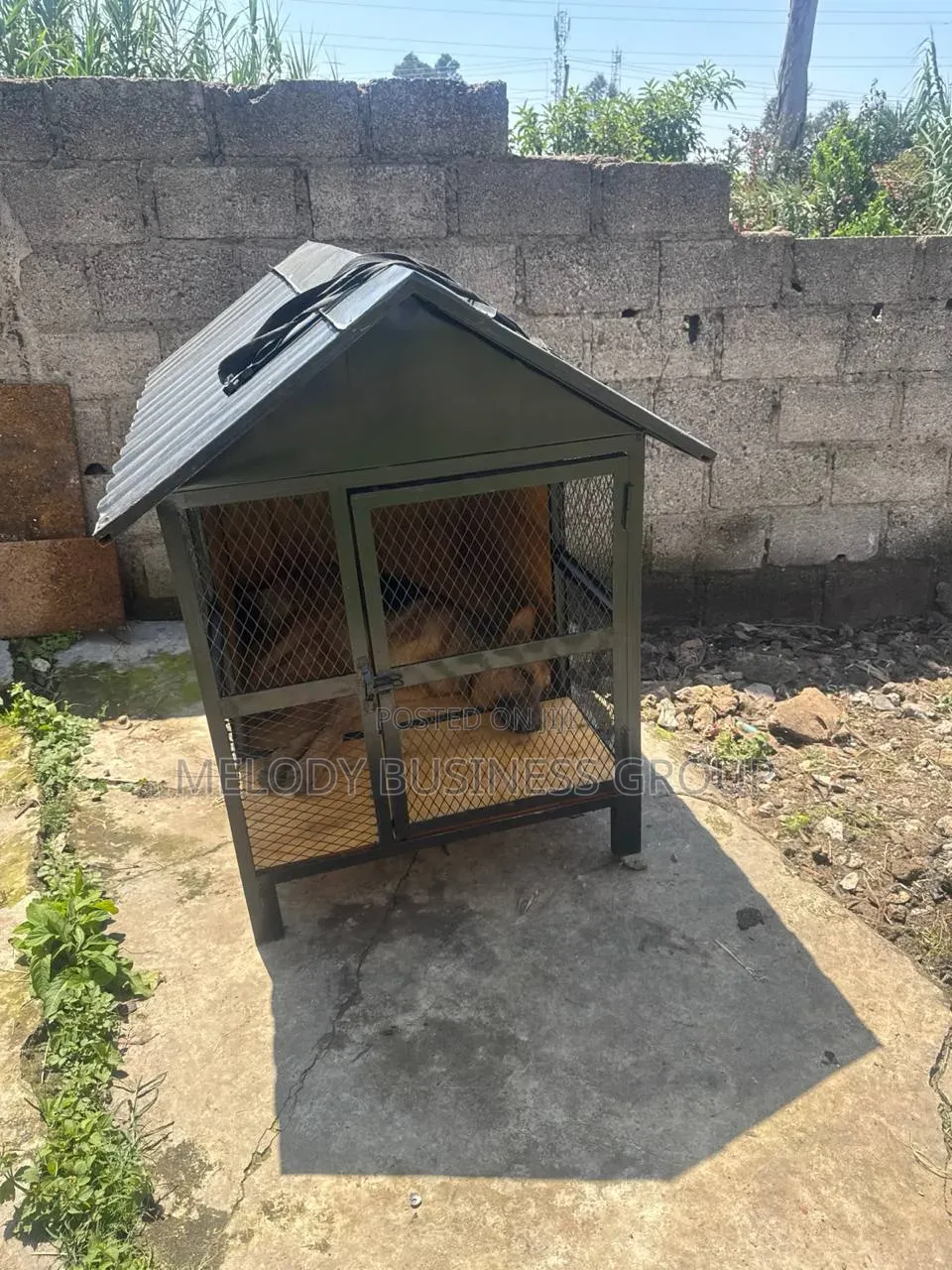 Dog Cage, Yewsha Bet, Kennel, Pet, Dog
