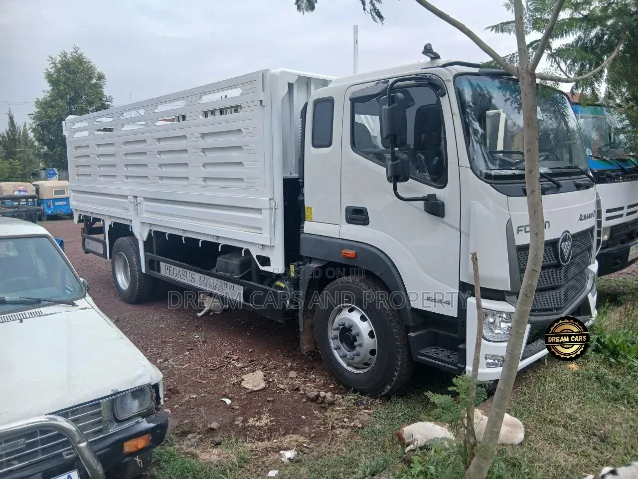 Foton 2026 FSR Urgent Sell