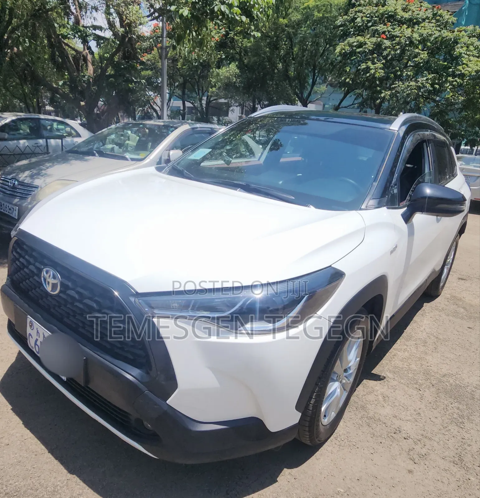 Toyota Corolla Hybrid 2024 White